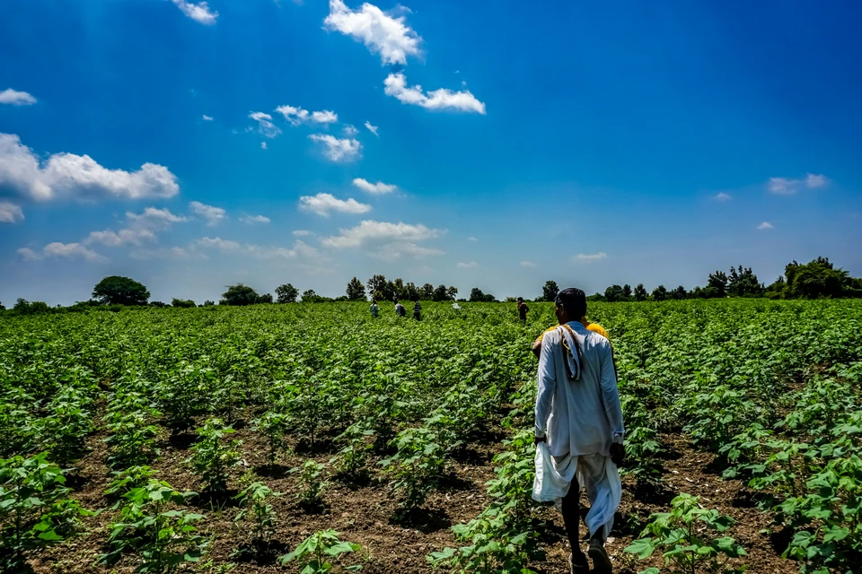 Careers at Improve Africa